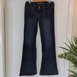American Eagle Hipster Jeans